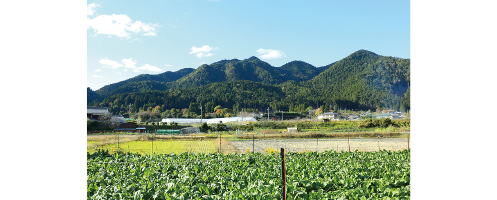 第二百四回 自然豊かな山里 大原