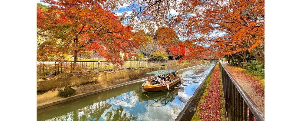 紅葉に包まれる秋の京都──びわ湖疏水船で味わう静かな時間